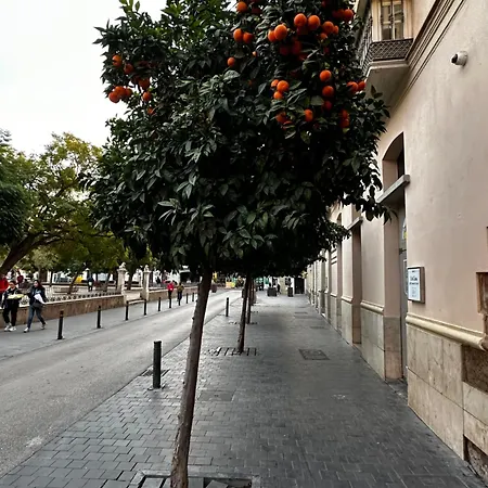 Apartment Malaga's Secret